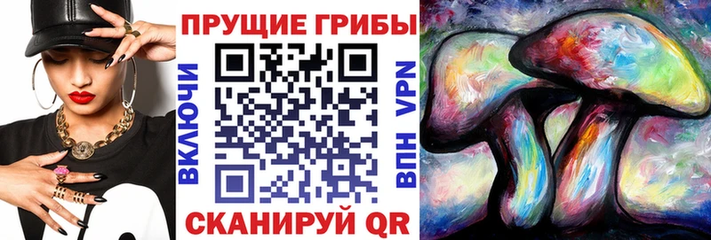 Купить закладки  Невинномысск  Псилоцибиновые грибы Psilocybine cubensis 